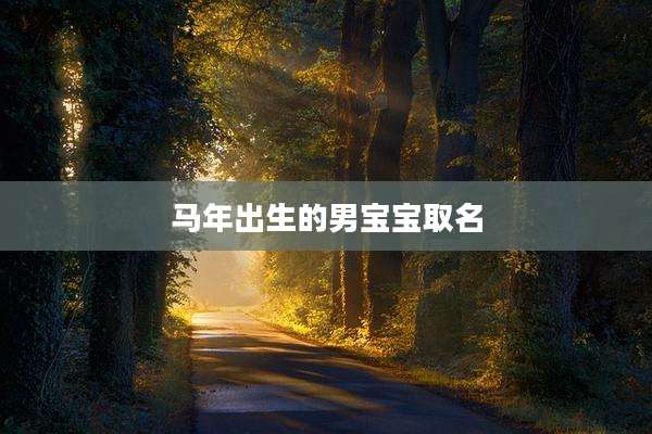 马年出生的男宝宝取名