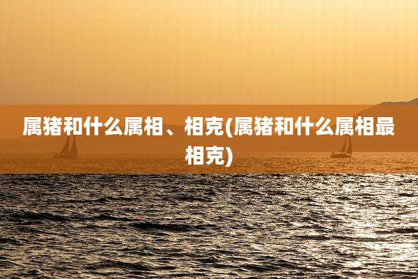 属猪和什么属相、相克(属猪和什么属相最相克)