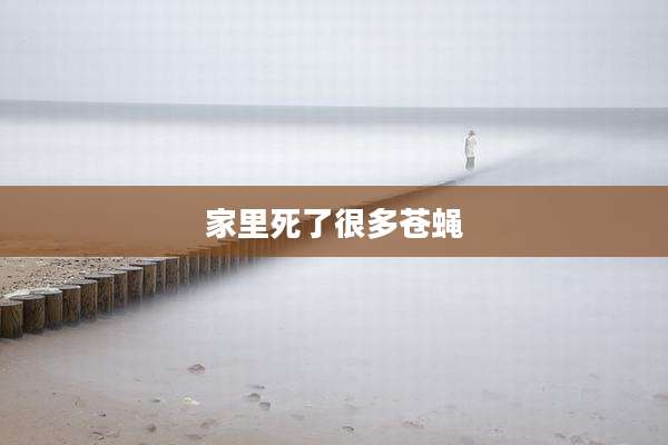 家里死了很多苍蝇