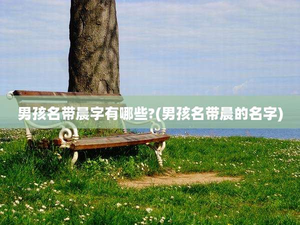 男孩名带晨字有哪些?(男孩名带晨的名字)