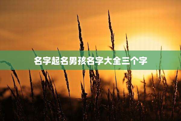 名字起名男孩名字大全三个字