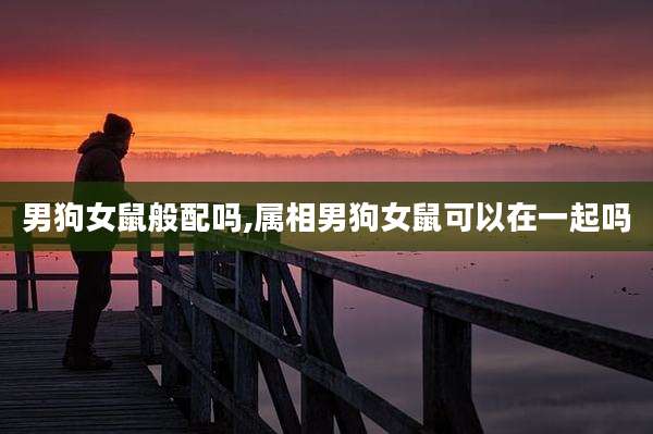 男狗女鼠般配吗,属相男狗女鼠可以在一起吗