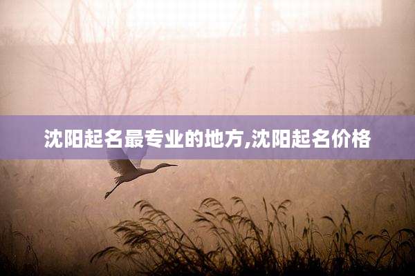 沈阳起名最专业的地方,沈阳起名价格