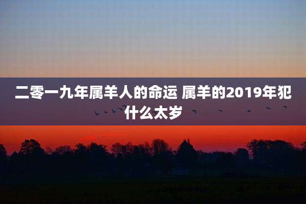 二零一九年属羊人的命运 属羊的2019年犯什么太岁