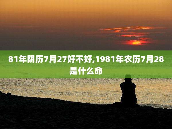 81年阴历7月27好不好,1981年农历7月28是什么命