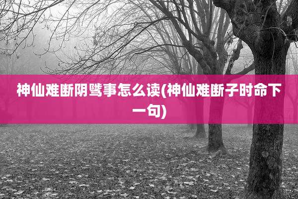 神仙难断阴骘事怎么读(神仙难断子时命下一句)