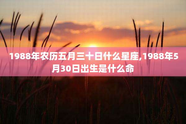 1988年农历五月三十日什么星座,1988年5月30日出生是什么命