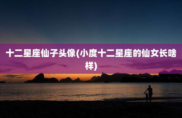 十二星座仙子头像(小度十二星座的仙女长啥样)