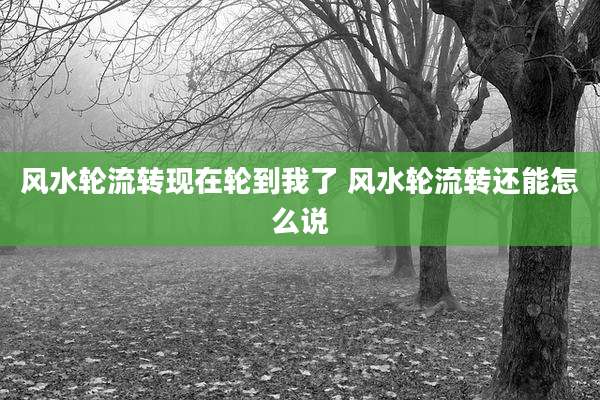 风水轮流转现在轮到我了 风水轮流转还能怎么说