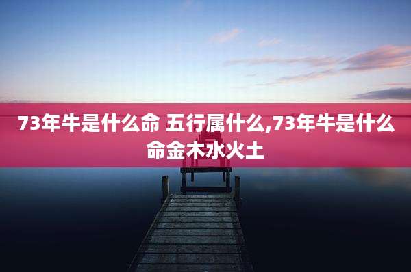 73年牛是什么命 五行属什么,73年牛是什么命金木水火土