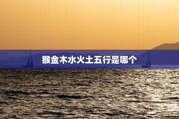 猴金木水火土五行是哪个