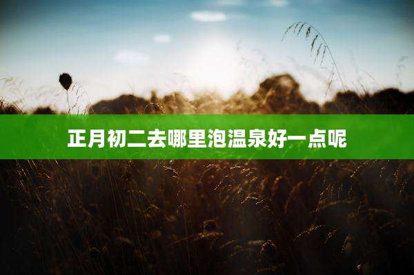 正月初二去哪里泡温泉好一点呢