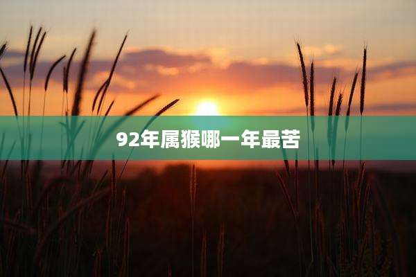 92年属猴哪一年最苦