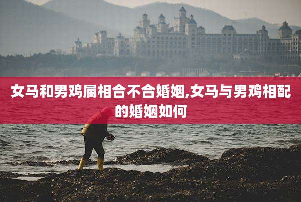 女马和男鸡属相合不合婚姻,女马与男鸡相配的婚姻如何