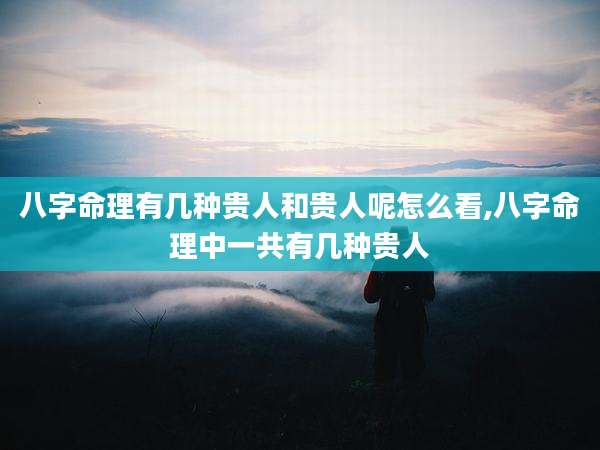 八字命理有几种贵人和贵人呢怎么看,八字命理中一共有几种贵人