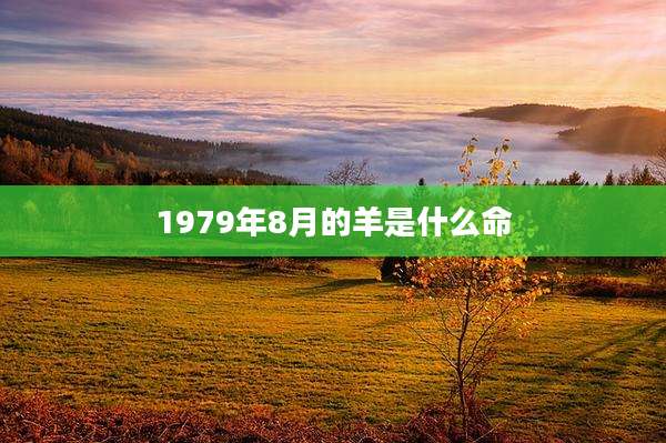 1979年8月的羊是什么命