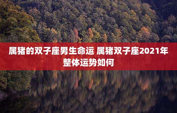 属猪的双子座男生命运 属猪双子座2021年整体运势如何