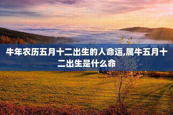 牛年农历五月十二出生的人命运,属牛五月十二出生是什么命