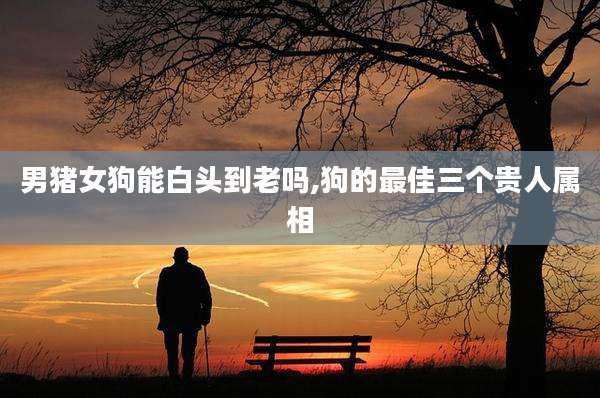 男猪女狗能白头到老吗,狗的最佳三个贵人属相