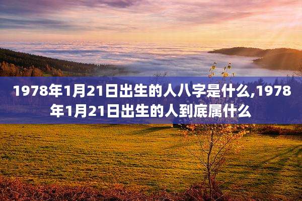 1978年1月21日出生的人八字是什么,1978年1月21日出生的人到底属什么