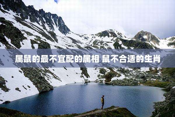 属鼠的最不宜配的属相 鼠不合适的生肖
