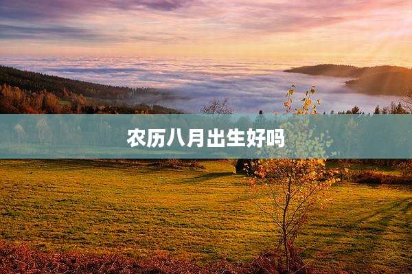 农历八月出生好吗