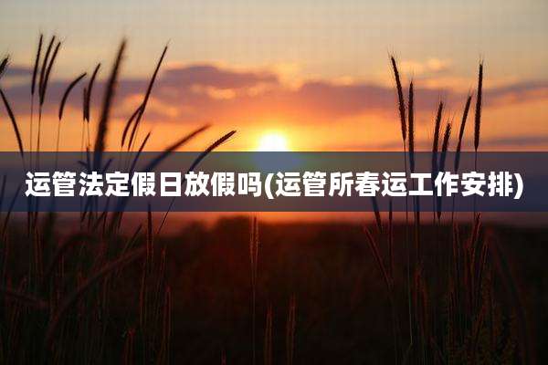 运管法定假日放假吗(运管所春运工作安排)