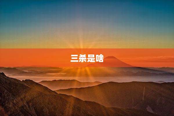 三杀是啥