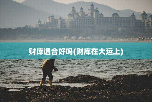 财库遇合好吗(财库在大运上)