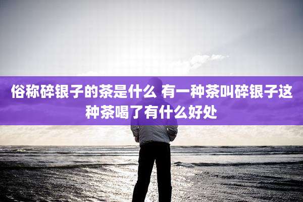 俗称碎银子的茶是什么 有一种茶叫碎银子这种茶喝了有什么好处