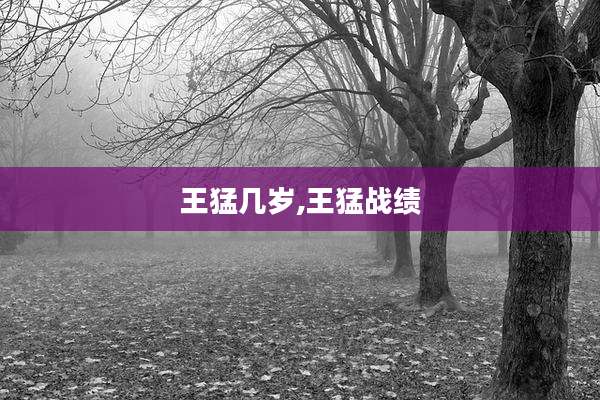 王猛几岁,王猛战绩