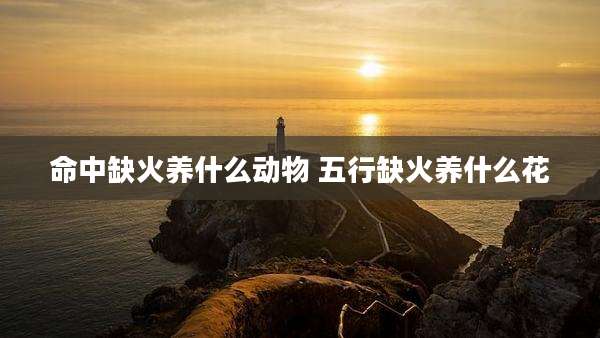 命中缺火养什么动物 五行缺火养什么花