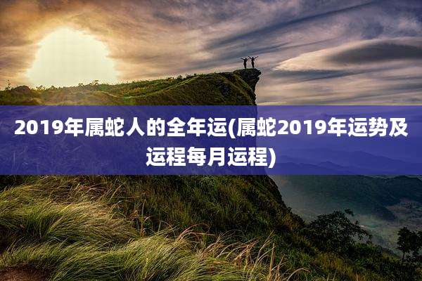 2019年属蛇人的全年运(属蛇2019年运势及运程每月运程)