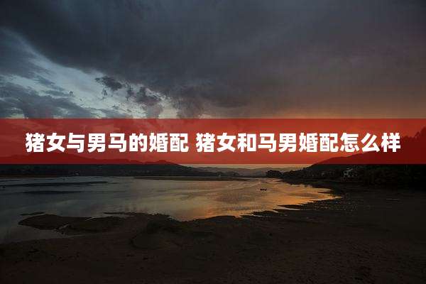 猪女与男马的婚配 猪女和马男婚配怎么样