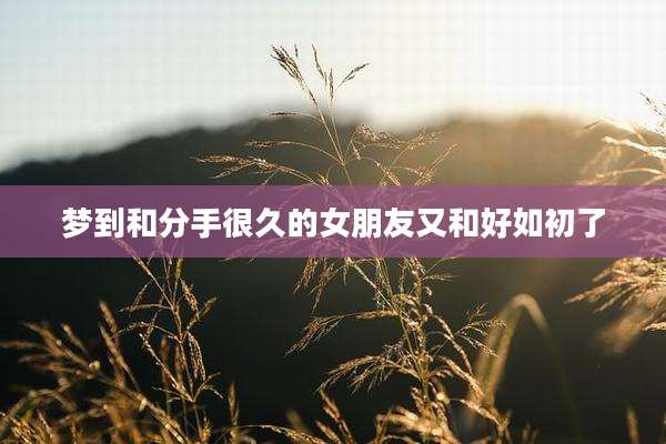 梦到和分手很久的女朋友又和好如初了