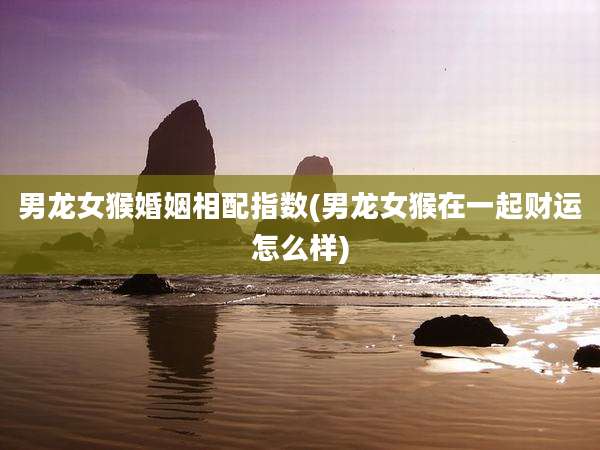 男龙女猴婚姻相配指数(男龙女猴在一起财运怎么样)