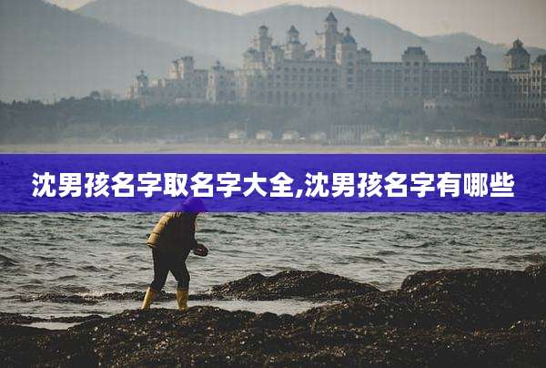 沈男孩名字取名字大全,沈男孩名字有哪些