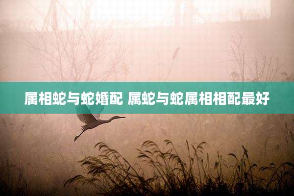 属相蛇与蛇婚配 属蛇与蛇属相相配最好