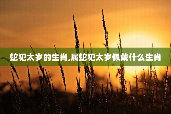 蛇犯太岁的生肖,属蛇犯太岁佩戴什么生肖