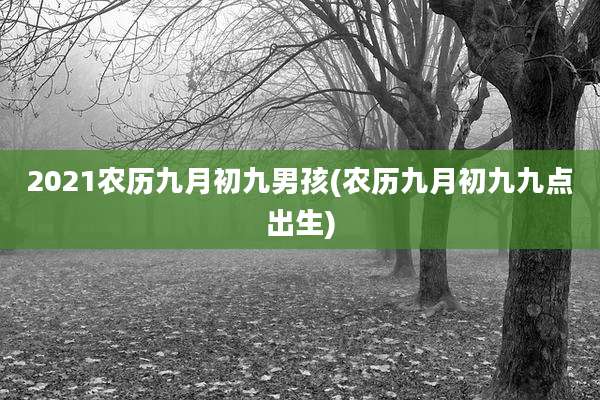 2021农历九月初九男孩(农历九月初九九点出生)