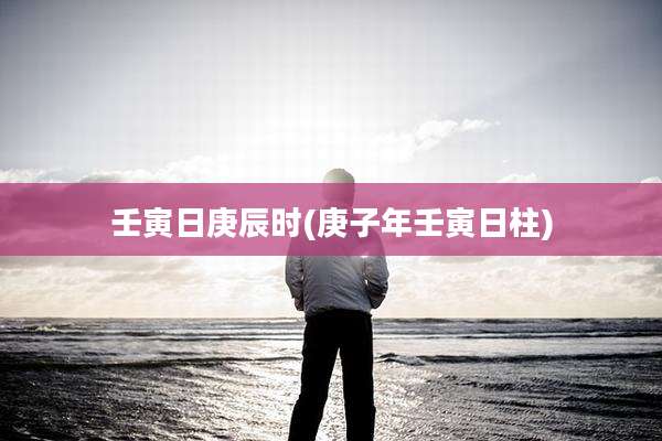 壬寅日庚辰时(庚子年壬寅日柱)