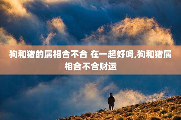 狗和猪的属相合不合 在一起好吗,狗和猪属相合不合财运