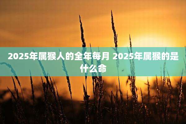 2025年属猴人的全年每月 2025年属猴的是什么命