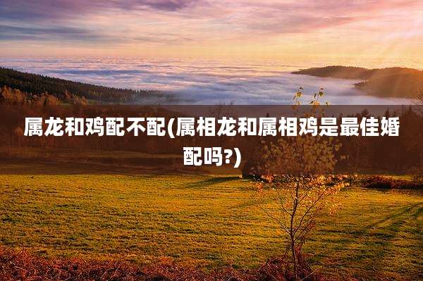 属龙和鸡配不配(属相龙和属相鸡是最佳婚配吗?)