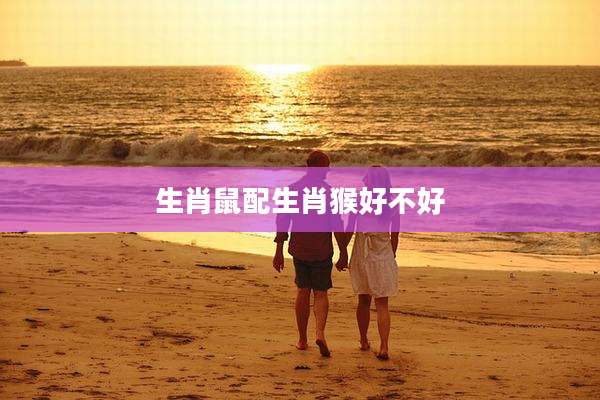 生肖鼠配生肖猴好不好
