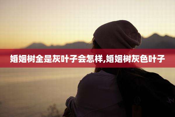婚姻树全是灰叶子会怎样,婚姻树灰色叶子