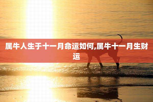 属牛人生于十一月命运如何,属牛十一月生财运