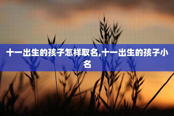 十一出生的孩子怎样取名,十一出生的孩子小名