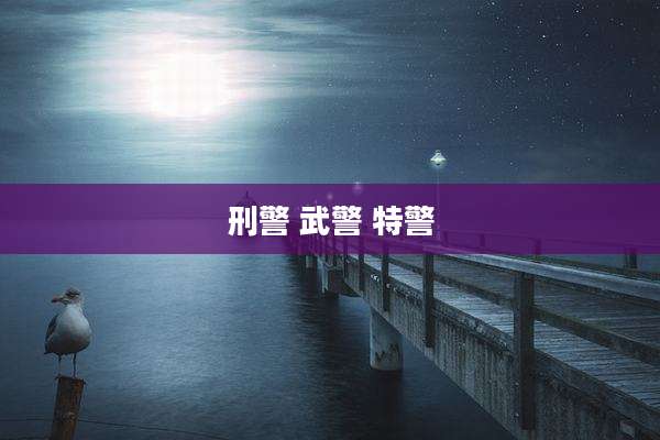 刑警 武警 特警