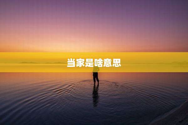 当家是啥意思